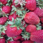 Шта се дешава ако сипате млеко на јагоде: чудан ритуал који мења укус бобица shta-se-deshava-ako-sipate-mleko-na-jagode-cudan-ritual.jpg