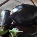 Сољење патлиџана пре кувања: како нестаје горчина и рађа се савршен укус soljenje-patlidzana-pre-kuvanja-kako-nestaje-gorcina-i-radja-se.jpg